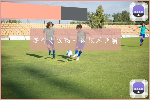 字母哥攻防一体技术拆解