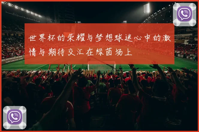 世界杯的荣耀与梦想球迷心中的激情与期待交汇在绿茵场上