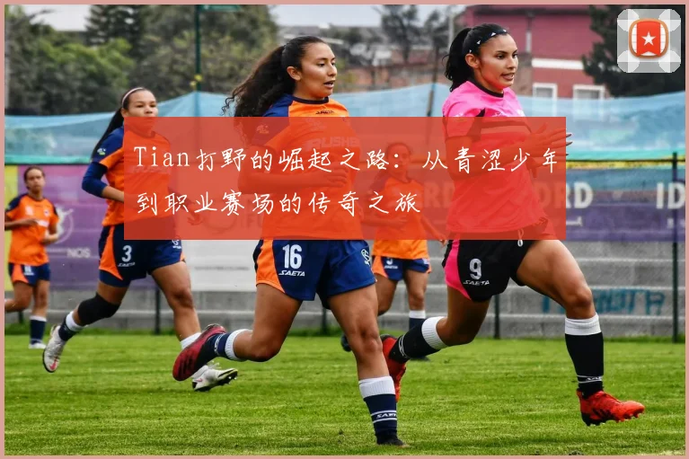 Tian打野的崛起之路：从青涩少年到职业赛场的传奇之旅
