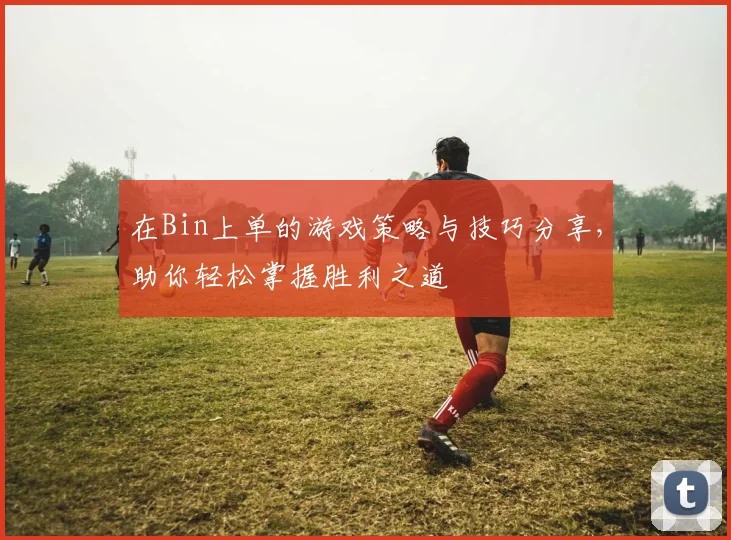 在Bin上单的游戏策略与技巧分享，助你轻松掌握胜利之道