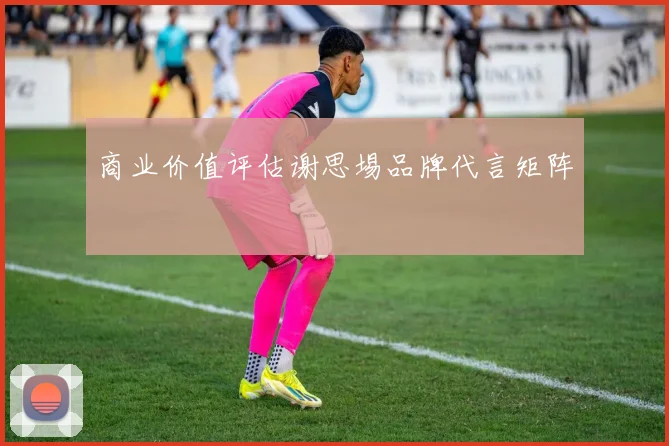 商业价值评估谢思埸品牌代言矩阵
